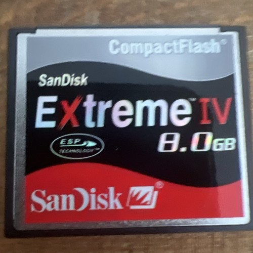 Scheda memoria sandisk - scheda,